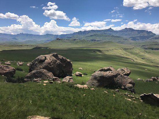 Cobham Nature Reserve